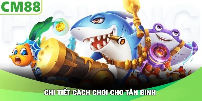 Chi tiết cách chơi cho tân binh 