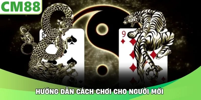 Hướng dẫn cách chơi cho người mới 
